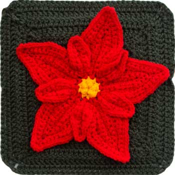 Festive Flowers Week 2