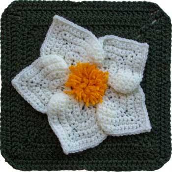 Festive Flowers Week 1